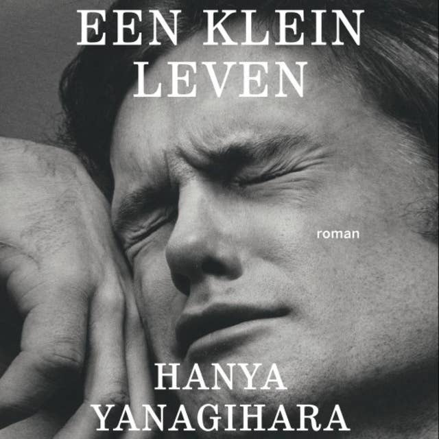 Cover for Een klein leven