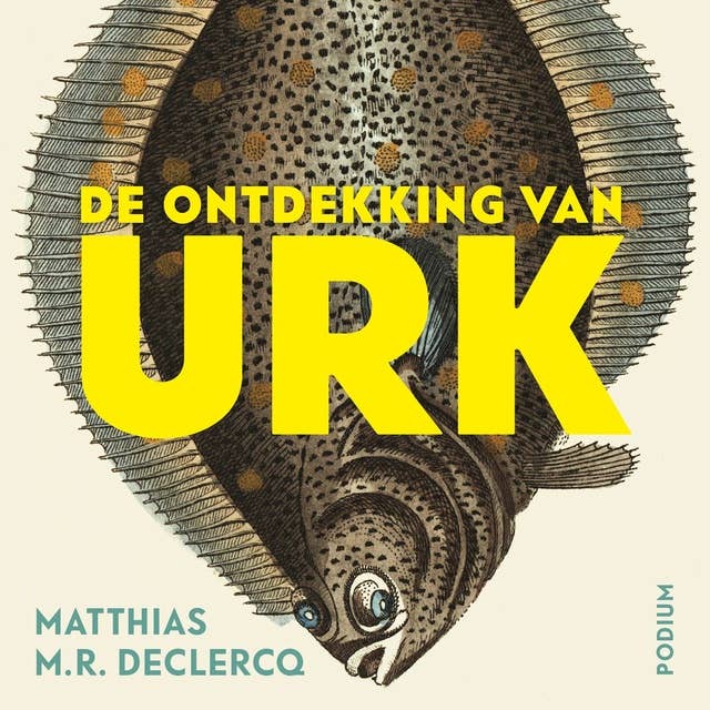 Cover for De ontdekking van Urk
