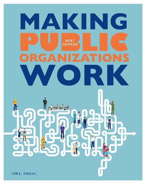 Making Public Organizations Work