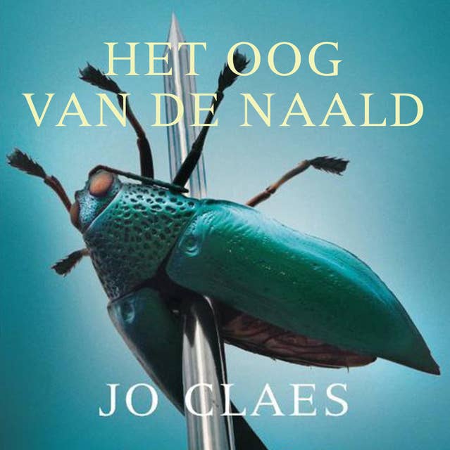 Het oog van de naald 