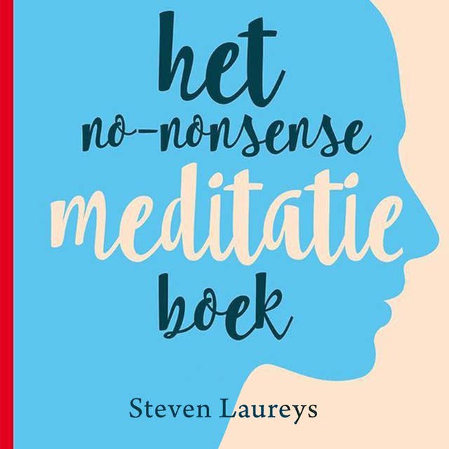 Het no-nonsense meditatieboek 