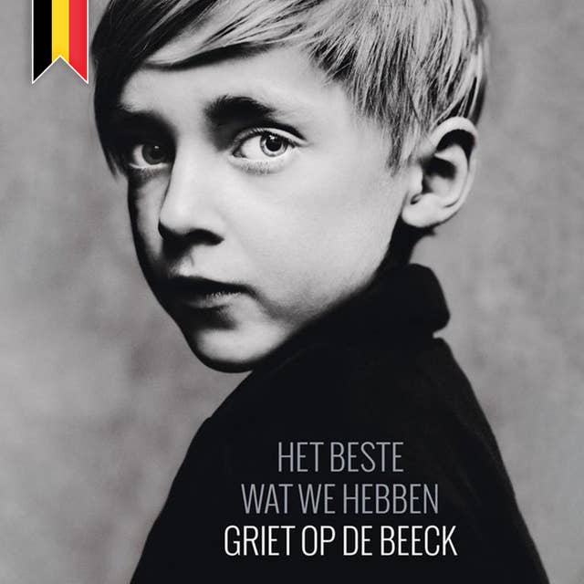 Het beste wat we hebben 