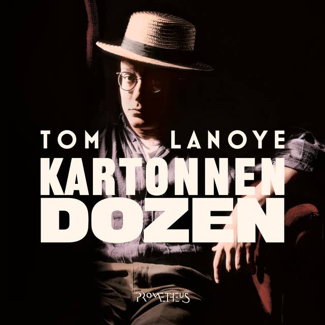 Kartonnen dozen by Tom Lanoye