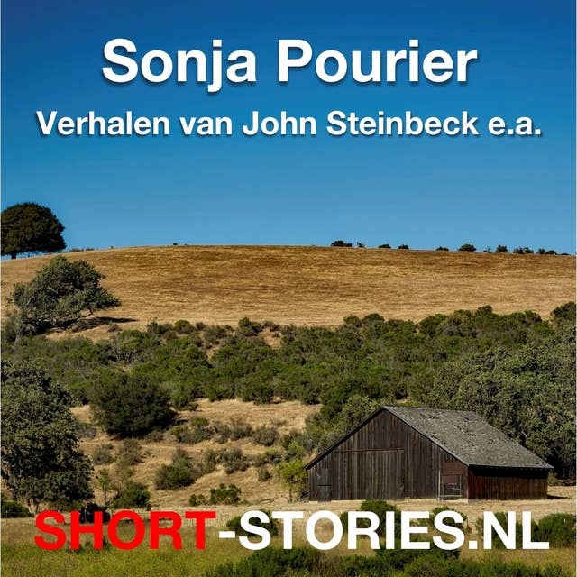 Verhalen van John Steinbeck e.a.