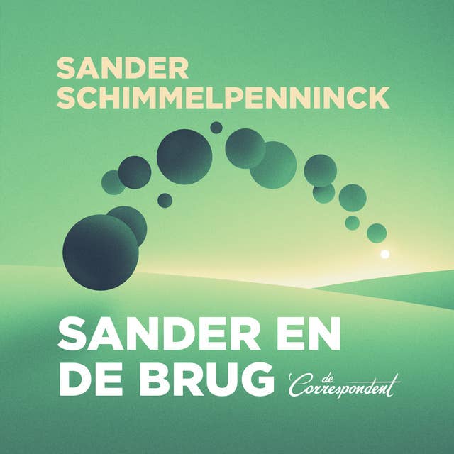 Cover for Sander en de brug: Vijf voorstellen voor een eerlijker Nederland