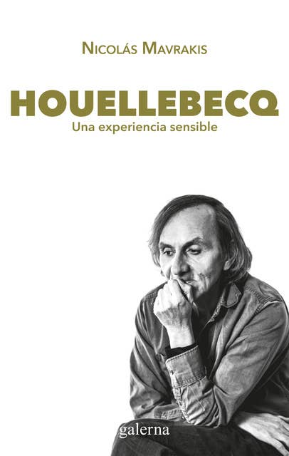 Houellebecq: Una experiencia sensible