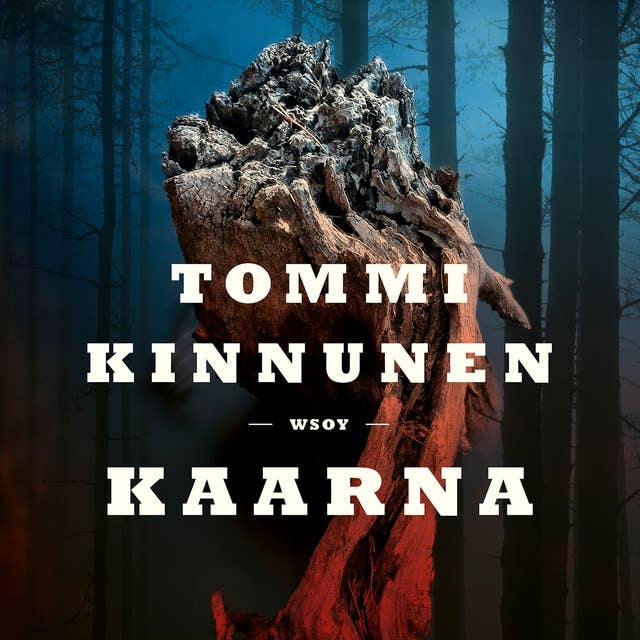 Kaarna by Tommi Kinnunen