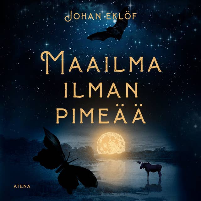 Maailma ilman pimeää: Kuinka valosaaste uhkaa luonnon tasapainoa