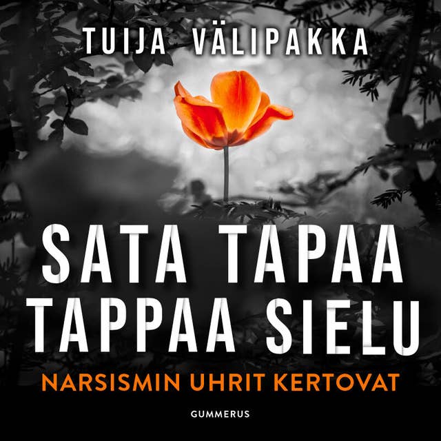 Cover for Sata tapaa tappaa sielu: Narsismin uhrit kertovat