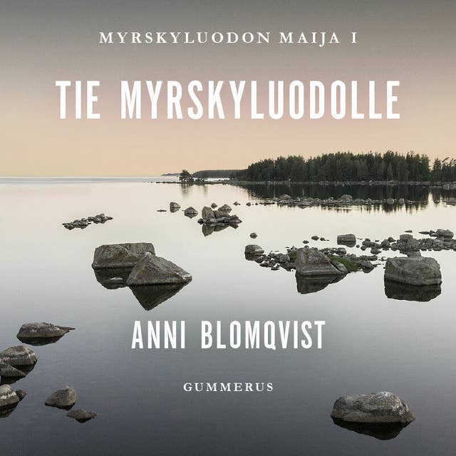 Tie Myrskyluodolle
