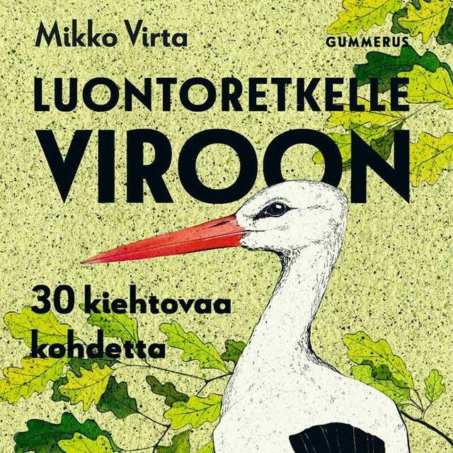 Luontoretkelle Viroon: 30 kiehtovaa kohdetta
