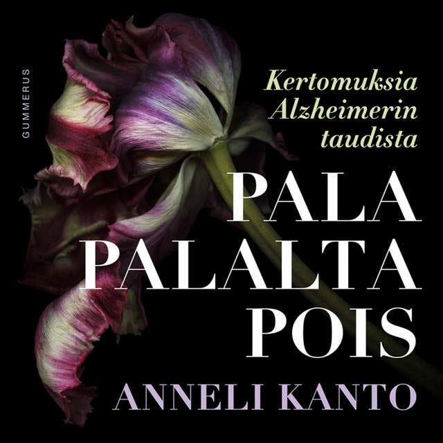 Pala palalta pois: Kertomuksia Alzheimerin taudista by Anneli Kanto