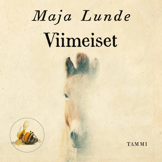 Cover for Viimeiset