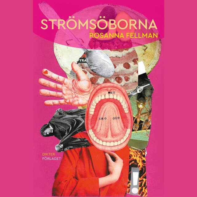 Cover for Strömsöborna