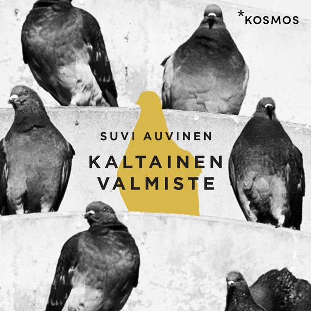 Cover for Kaltainen valmiste