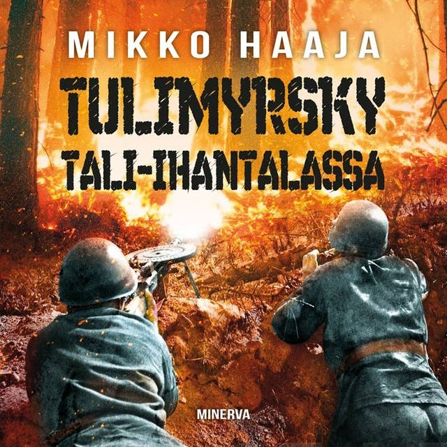 Tulimyrsky Tali-Ihantalassa