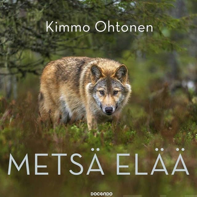 Metsä elää - Äänikirja - Kimmo Ohtonen - Storytel