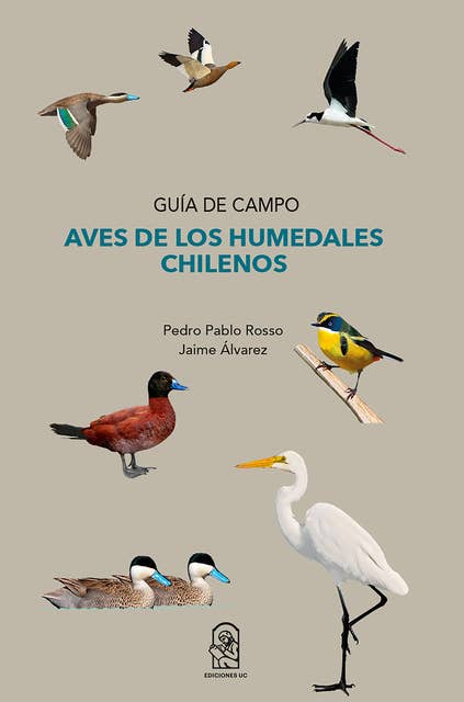 Aves de los humedales chilenos: Guía de campo