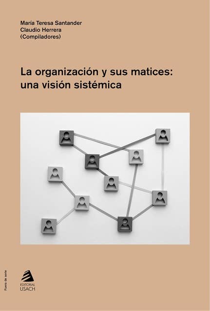 La organización y sus matices:: Una visión sistemática