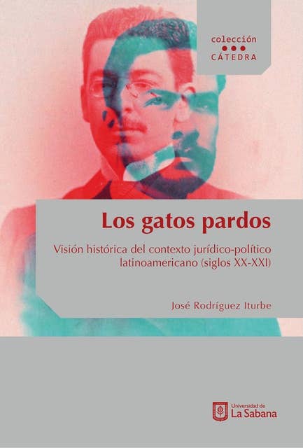 Los gatos pardos: Visión histórica del contexto jurídico-político latinoamericano (siglos XX- XXI)