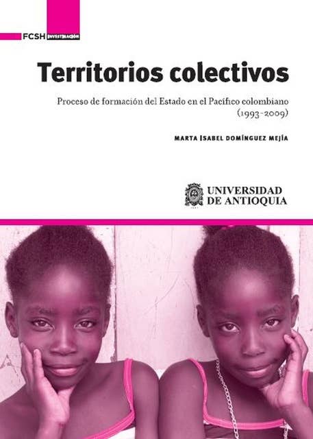 Territorios colectivos: Proceso de formación del Estado en el Pacífico colombiano (1993-2009)