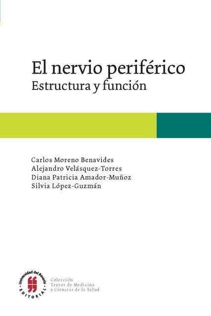 El nervio periférico: Estructura y función