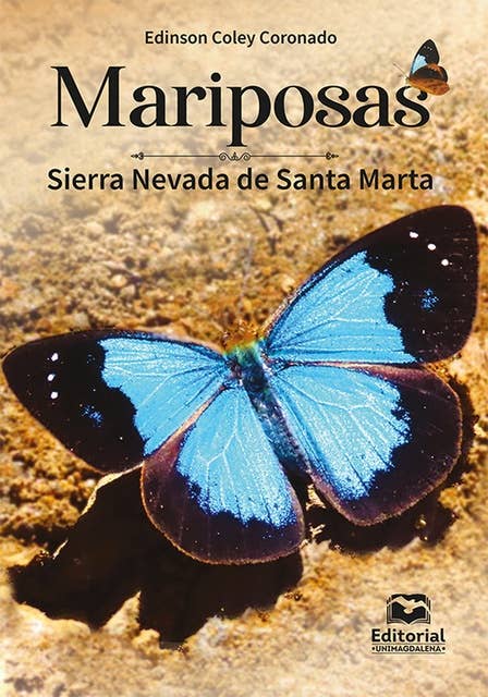 Mariposas: Sierra Nevada de Santa Marta