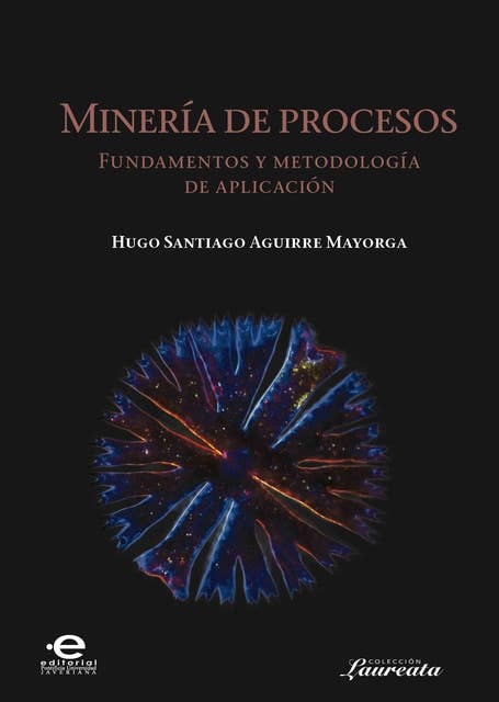 Minería de procesos: Fundamentos y  metodología de aplicación