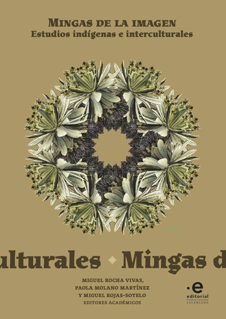 Mingas de la imagen: Estudios indígenas e interculturales