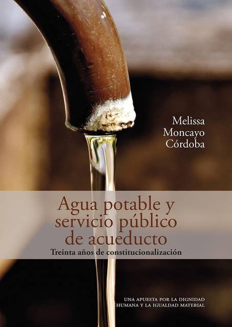 Agua potable y servicio público de acueducto: treinta años de constitucionalización: Una apuesta por la dignidad humana y la igualdad material