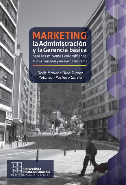 Marketing, la Administración y la Gerencia básica para las mipymes colombianas: Micros pequeñas y medianas empresas
