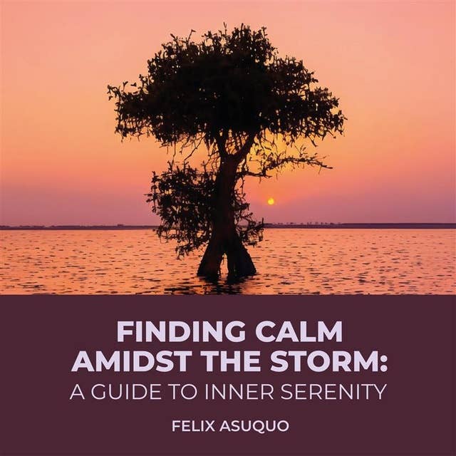 Finding Calm Amidst the Storm: A Guide to Inner Serenity