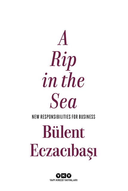 A Rip in the Sea: New Responsibilities for Business