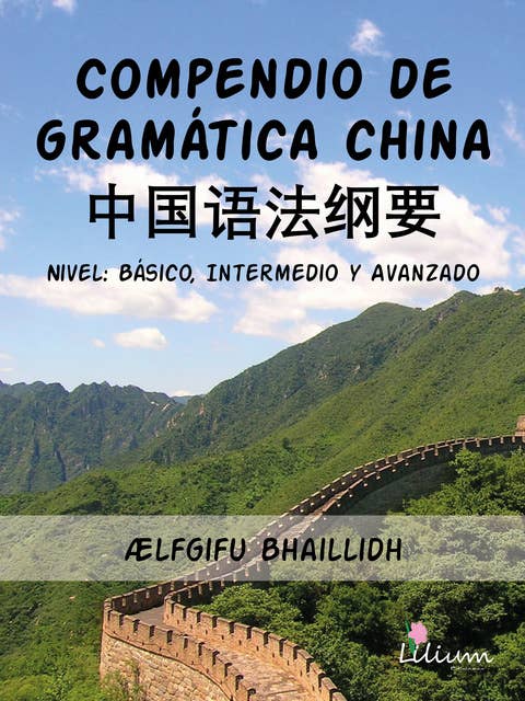 Compendio de gramática china: Nivel : básico, intermedio y avanzado