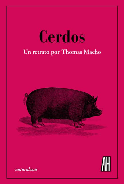 Cerdos: Un retrato por Thomas Macho