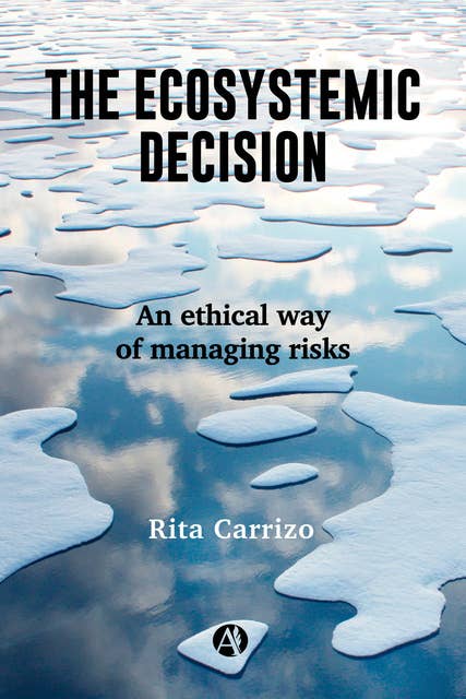 The Ecosystemic Decision: An ethical way of managing risks