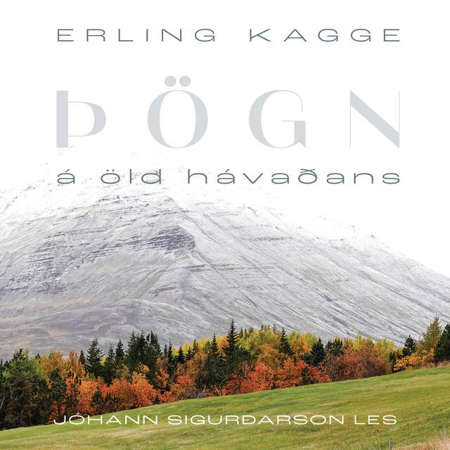 Þögn – á öld hávaðans 