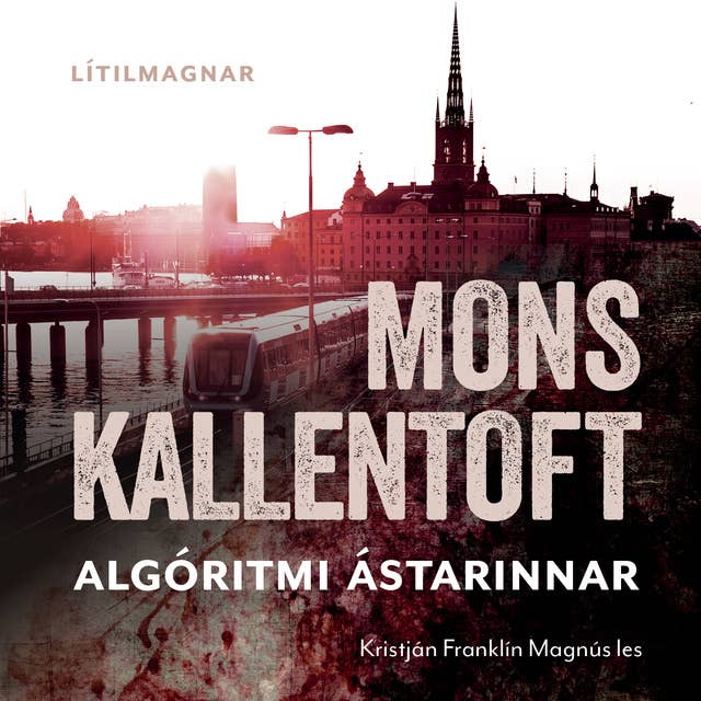 Algóritmi ástarinnar by Mons Kallentoft