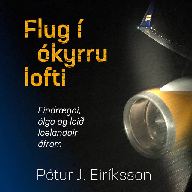 Flug í ókyrru lofti by Pétur J. Eiríksson