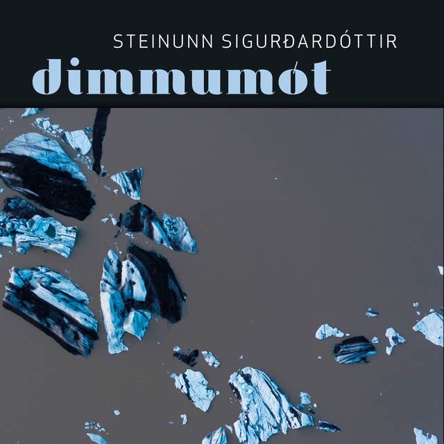 Dimmumót by Steinunn Sigurðardóttir