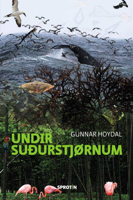 Cover for Undir suðurstjørnum