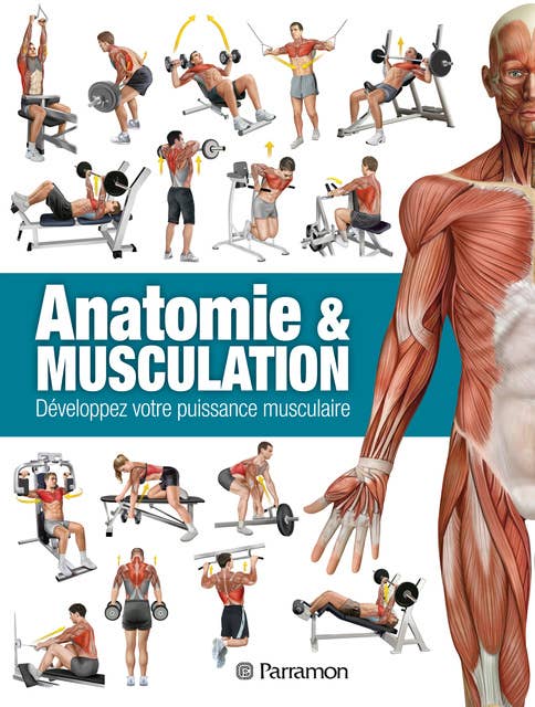 Anatomie & Musculation: Développez votre puissance musculaire