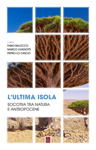 L’ultima isola: Socotra tra natura e antropocene