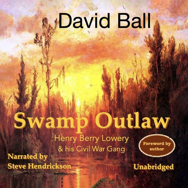 Swamp Outlaw: Henry Berry Lowery and His Civil War Gang