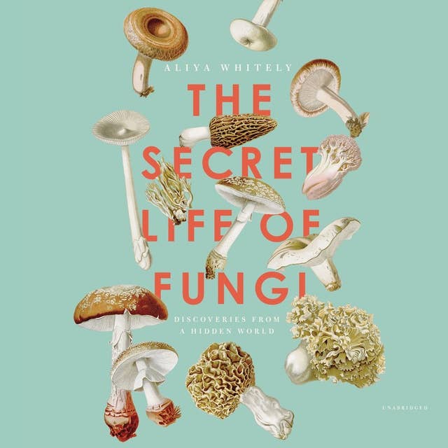 The Secret Life of Fungi: Discoveries from a Hidden World