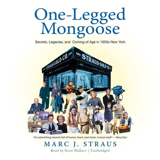 One-Legged Mongoose: Secrets, Legacies, and Coming of Age in 1950s New York