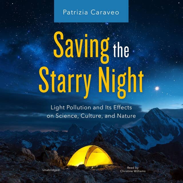 Saving the Starry Night: Light Pollution and Its Effects on Science, Culture, and Nature