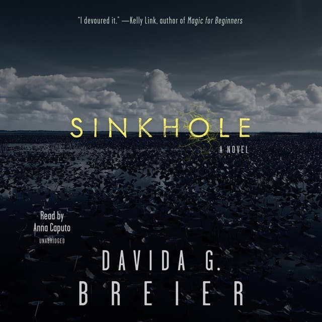 Sinkhole: A Novel