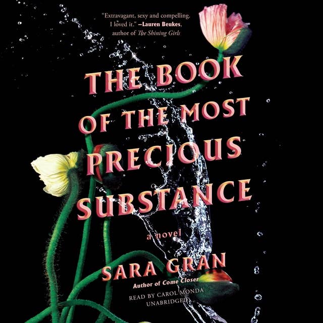 The Book of the Most Precious Substance: A Novel