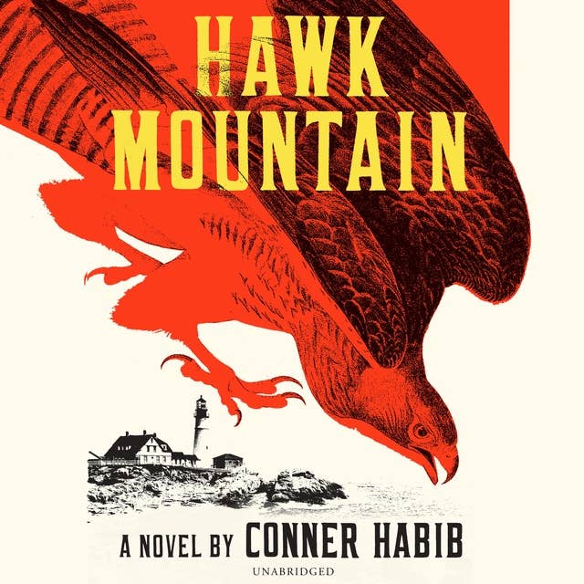 Hawk Mountain: A Novel